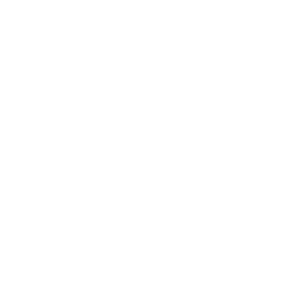 Steamify® 