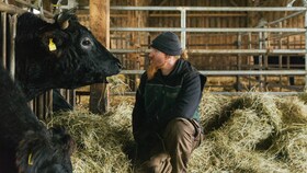 Kjøttkokken, Ludwig Maurer med en Wagyu-okse